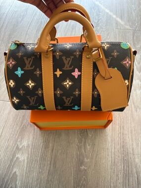 Louis Vuitton multicoloured speedy 25 Tyler the creator